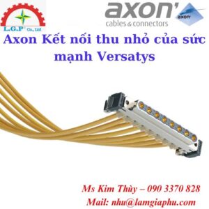 Kết nối thu nhỏ của sức mạnh Versatys