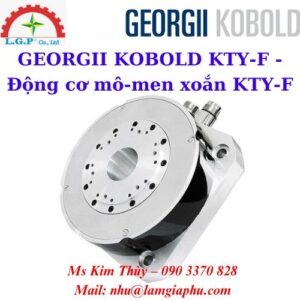 Động cơ mô-men xoắn KTY-F
