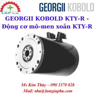 Động cơ mô-men xoắn KTY-R
