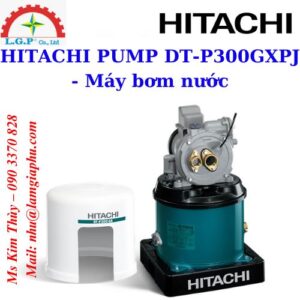 DT-P300GXPJ - Máy bơm nước